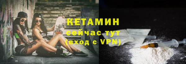 шишки Аркадак