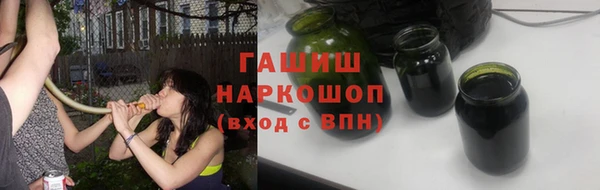 индика Баксан