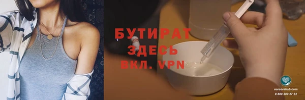 шишки Аркадак