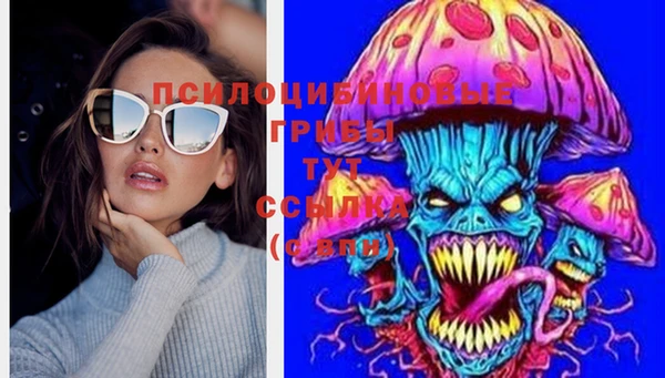 трава Балахна