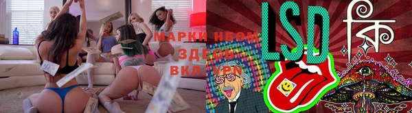 индика Баксан