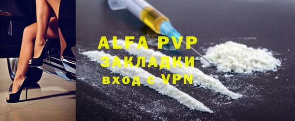 индика Баксан